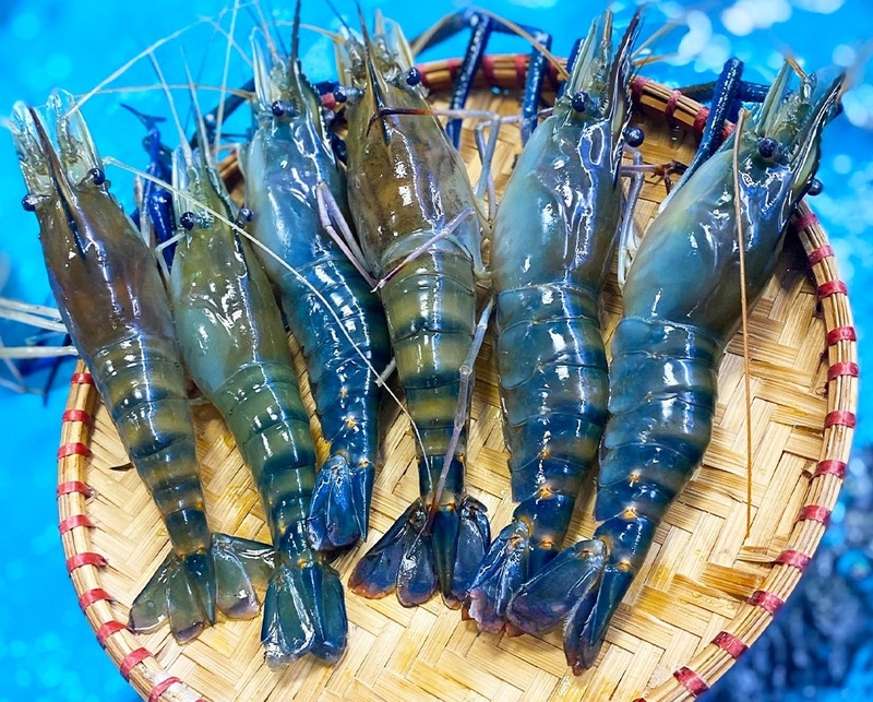 Tôm càng sen